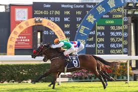 Image result for The Horse Racing Club