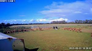 Image result for Wotg Model Flying Club