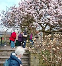 Image result for U3A/LLL Salford Wed. Scrabble Club*