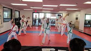 Image result for Hidden Dragon Karate-Do