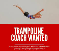 Image result for Harrogate School Of Gymnastics