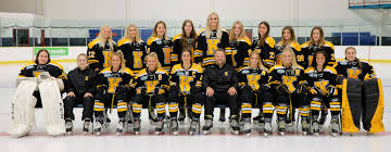 Image result for Kingston Ice Dance Club