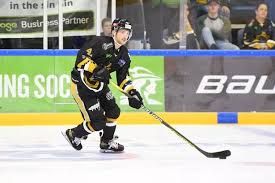 Image result for Nottingham Panthers