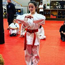 Image result for West Jordan Martial Arts Dojo