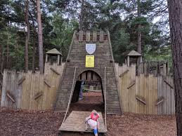 Image result for The Go Ape Experience (Swinley Forest)