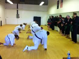 Image result for Scorpion Martial Arts Academy