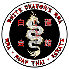 Image result for Dragon Martial Arts Association