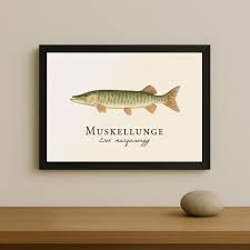 Image result for Esox masquinongy