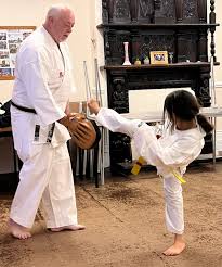 Image result for Burnham Karate Club