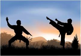 Image result for ZOKU SHOTOKAN KARATE (Baldock)