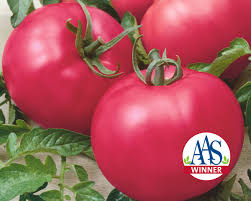 Afbeeldingsresultaat voor rose quartz tomato