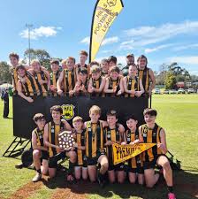 Image result for Meadows Sports Association