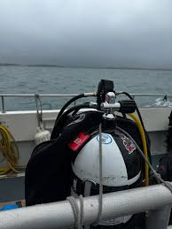 Image result for S England Dive Devil