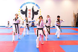 Image result for United Sport Karate