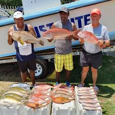 Image result for Chrysoblephus laticeps