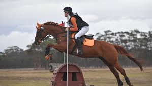 Image result for Fisher Equestrian
