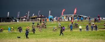 Image result for Hetton Hawks Cc