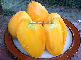 Afbeeldingsresultaat voor butter and bull heart tomato