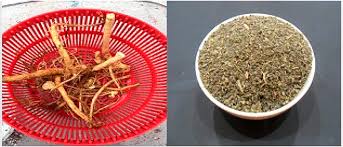 Attēlu rezultāti vaicājumam “Verbascum thapsus fruit”