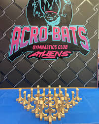 Image result for Custom Gymnastics Club