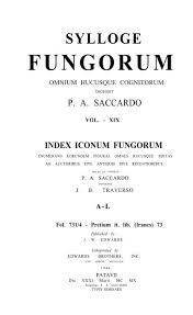 Attēlu rezultāti vaicājumam “Licea pusilla sessile”