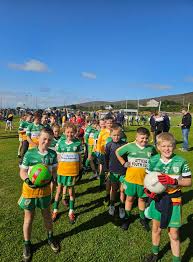 Image result for Drumgath Gaelic Football Club