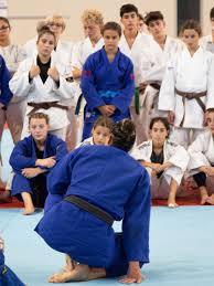 Image result for Dallo Martial Arts