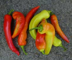 Afbeeldingsresultaat voor marconi golden sweet pepper