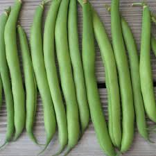 Image result for Buschbohnen