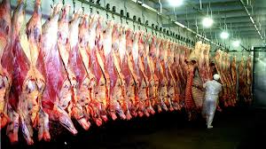 Image result for media res