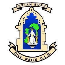 Image result for Lisnaskea Emmetts Gfc