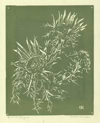 Image result for Silberdistel