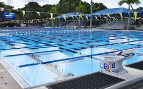 Image result for Selby Tiger Sharks Swimming Club