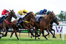 Image result for The Horse Racing Club