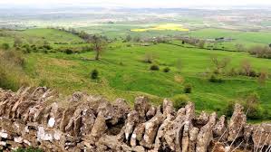 Image result for Bredon Cricket Club