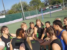 Image result for Wombles Netball Club