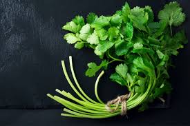 Image result for Koriander