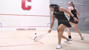 Image result for Addlestone Squash Leagues