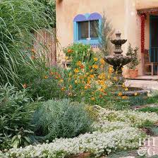 Image result for Nierembergia