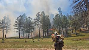 Image result for Hotshots