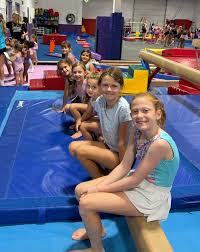 Image result for Wyre Forest Gymnastic School
