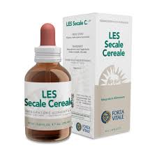 Image result for Secale cereale