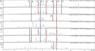Attēlu rezultāti vaicājumam “Rosellinia desmazieri spores”