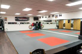 Image result for Awesome Martial Arts Training Center