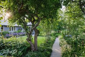 Image result for Ulf Nordfjell