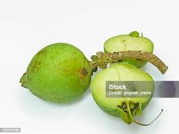 Attēlu rezultāti vaicājumam “Carex arenaria  fruit”