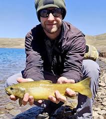 Image result for Salmo pellegrini