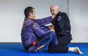Image result for Hachidori ju-jitsu Martial Arts
