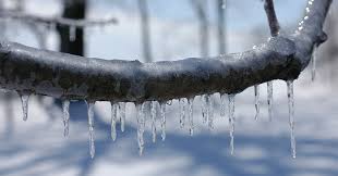 Image result for ice storm