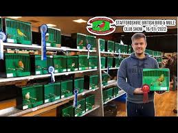 Image result for England Staffordshire Birding Club